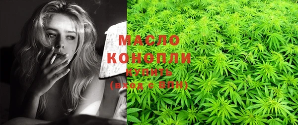 гидра Абаза