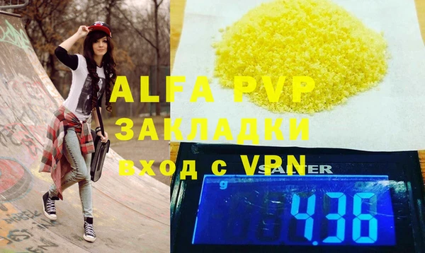 шишки Снежногорск