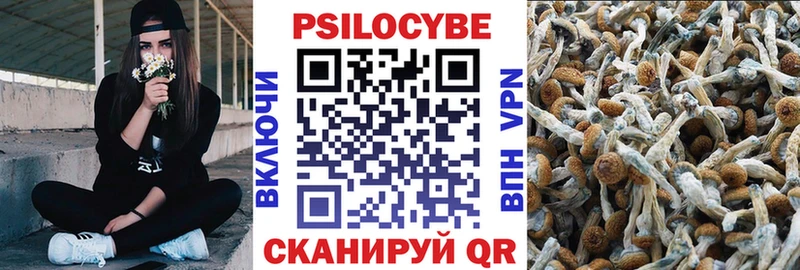 наркота  Лесозаводск  Галлюциногенные грибы ЛСД 