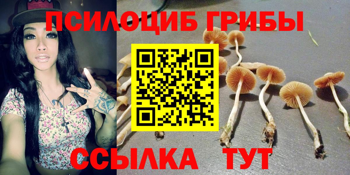 Псилоцибиновые грибы мицелий  Вход с VPN  Лесозаводск 