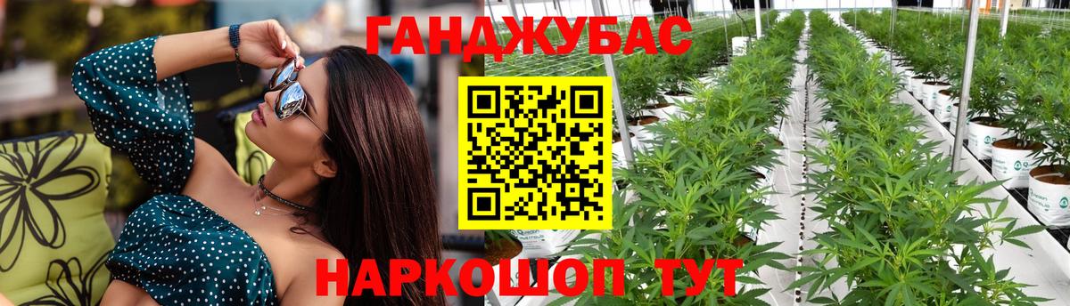 Шишки марихуана Bruce Banner Лесозаводск